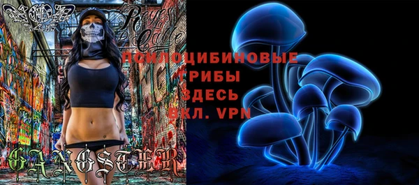 шишки Зеленодольск