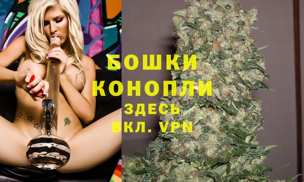 шишки Зеленодольск