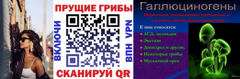 Купить где  Татарск  Псилоцибиновые грибы MAGIC MUSHROOMS 